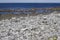 Landscape view of stone cairns stacked along the shore of Inishmore, in western Ireland