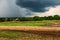 Landscape view of a summer field with green grass against the backdrop of a rain cloud storm in the sky