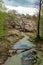 Landscape view of swampy river with fallen twisted snags and trees and village houses