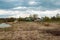 Landscape view of swampy river with fallen twisted snags and trees and village houses