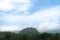 Landscape view of tall tree in front of agricultural areas. Mountain has a towering cliff in the middle.