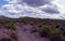 Landscape view at Tonto National Forest, Arizona