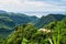 Landscape view on trail to the Trafalgar waterfalls. Morne Trois Pitons National Park, Dominica, Leeward Islands