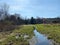 Landscape view of trees and green marshes in a wetland area under a blue sky