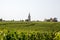 Landscape view Vineyards at Saint Emilion village in Bordeaux