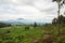 Landscape view in Virunga reserve, Rwanda