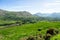 Landscape view in West Kerry, Beara peninsula in Ireland