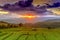 Landscape views, fields and trees, and sky backgrounds.