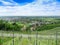 The landscape of the village with a vineyard, forest, hills.