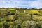 Landscape with vineyard along populair route in Germany, called Romantische Strasse, Wein Strasse