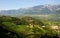 Landscape - Vineyard and apple tree