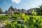 Landscape of vineyard in Cappadocia