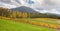 Landscape of Vineyard fields in Yarra Valley, Australia in autumn