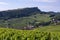 Landscape of vineyards around the village of Vergisson in Burgundy