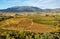 Landscape with vineyards at La Rioja, Spain
