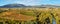 Landscape with vineyards at La Rioja, Spain