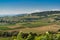 Landscape of vineyards with Montmelas Castle, Beaujolais, France