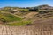 Landscape with vineyards in the province of Marsala on the island of Sicily