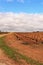 Landscape of vineyards under gray sky in Castilla la Mancha