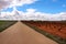 Landscape of vineyards under gray sky next to the road in Castilla la Mancha