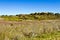 Landscape at Virginia Arboretum