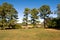 Landscape at Virginia Arboretum