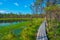 Landscape of Viru bog national park in Estonia