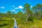 Landscape of Viru bog national park in Estonia