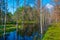 Landscape of Viru bog national park in Estonia