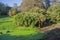 Landscape vista of Trebah Gardens