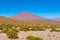 Landscape with volcanic peak and wild veld in the bolivian plateau