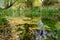 Landscape of the Volturno river with generic vegetation in the Rocchetta al Volturno plain, Molise