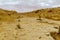 Landscape of a wadi in Ein Avdat National Park