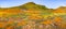 Landscape in Walker Canyon during the superbloom, California poppies covering the mountain valleys and ridges, Lake Elsinore,