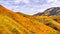 Landscape in Walker Canyon during the superbloom, California poppies covering the mountain valleys and ridges, Lake Elsinore,