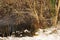 Landscape was covered with snow in forest