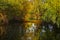 Landscape with water and vegetation in the Danube Delta