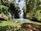 landscape with waterfall in mountainous area and temperate forest