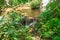 Landscape waterfall namtok pacharogn national park, Tak Thailand