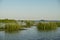 Landscape with waterline,  birds,  reeds,  vegetation and Sulina lighthouse in Danube Delta,  Romania,  in a sunny summer day