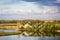 Landscape with waterline and vegetation