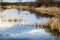 Landscape with waterline and vegetation