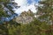 Landscape with weathered granite outcrops and trees. Burabay National Nature Park in Republic of Kazakhstan