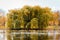 Landscape of a weeping willow tree during the fall by the pond in Riverside Park in Grand Rapids Michigan