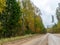 Landscape with wet, sloping ground and colorful trees along the edge,