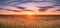 Landscape Of Wheat Field Under Scenic Summer Dramatic Sky In Sunset Dawn Sunrise. Skyline. Panorama, Panoramic View