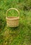 Landscape with wicker basket in the bog, bog vegetation, green cranberry background, bog plants, summer