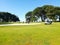 Landscape with wild nature, plants, trees and meadows in Brion Island, Magdalene archipelago, Croatia