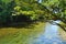 Landscape of a wild stream in Daintree National Park Queensland