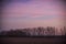 Landscape with windmill at sunset, Pampas,